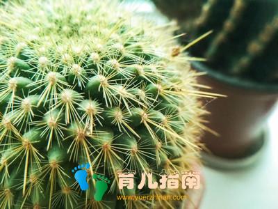 丢掉坏脾气 丢掉坏脾气