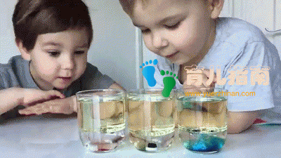 表面张力 表面张力