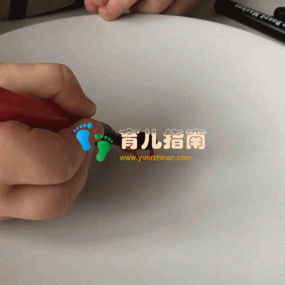 玉米淀粉 玉米淀粉