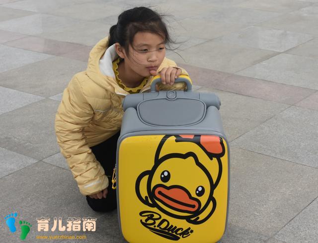 20寸 20寸