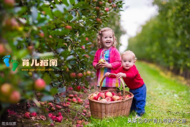 宝宝水果怎么吃？避开营养陷阱，营养师教你正确吃法