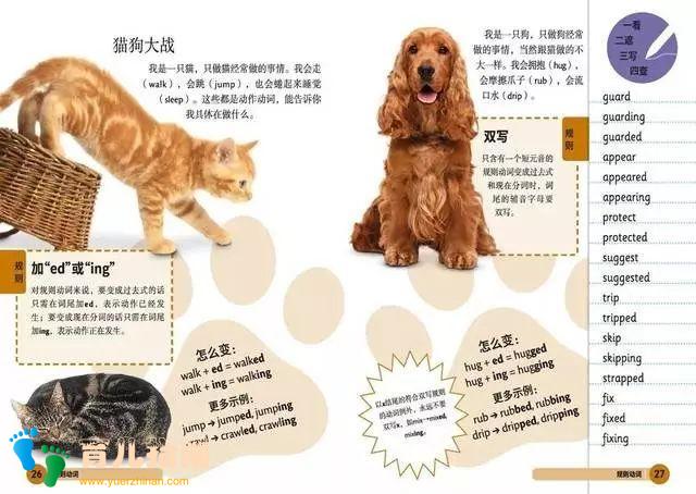 儿童英语 儿童英语