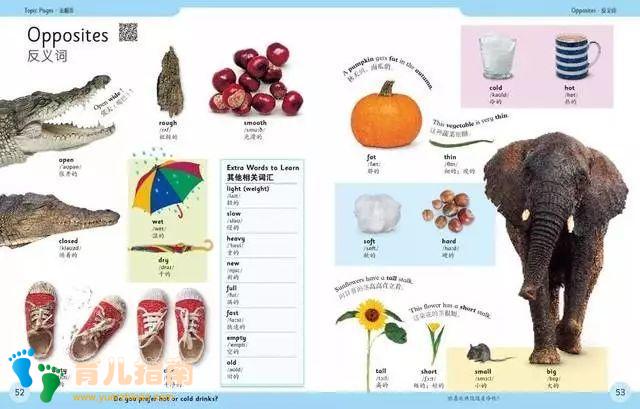 小学国家课程标准 小学国家课程标准