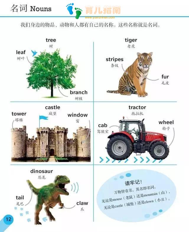 DK儿童英语基础 DK儿童英语基础