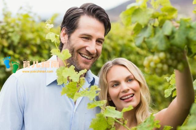 提供选择 提供选择