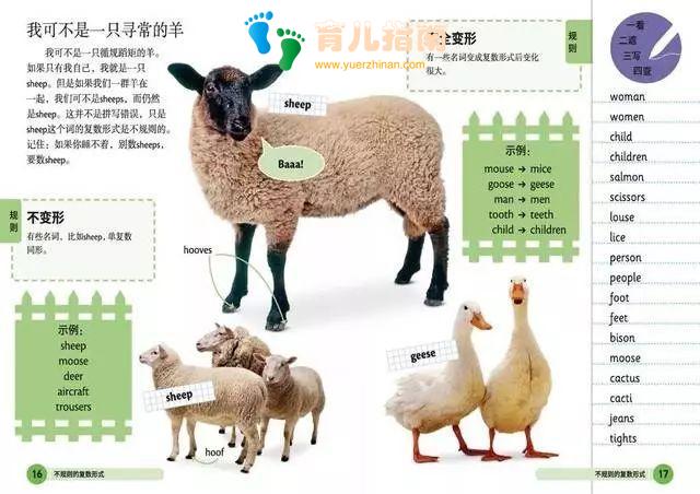 小学国家课程标准 小学国家课程标准