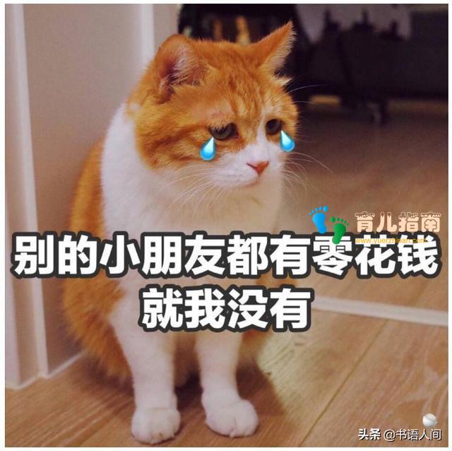 宝贝计划 宝贝计划