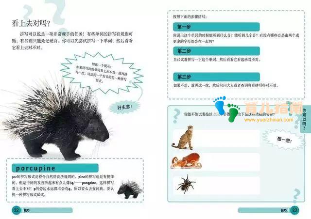 DK儿童英语基础必备英语单词 DK儿童英语基础必备英语单词