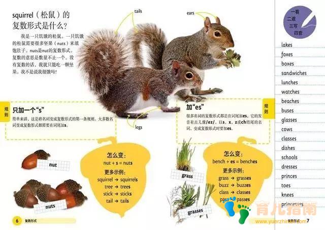 DK儿童英语基础必备英语语法 DK儿童英语基础必备英语语法