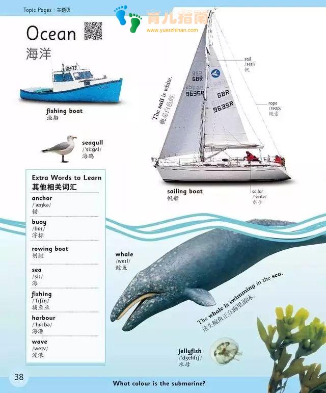 英语学习 英语学习