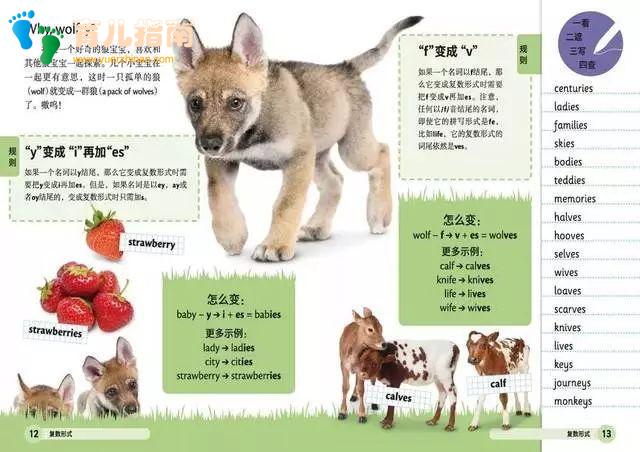 DK儿童英语基础必备英语语法 DK儿童英语基础必备英语语法