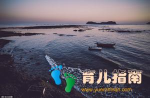 童话：小鱼和大海
