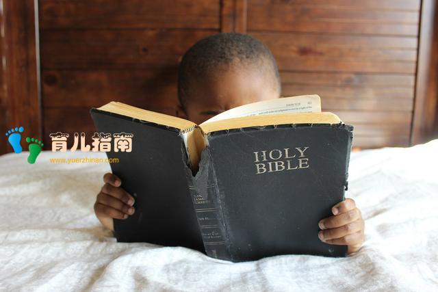 培训机构 培训机构