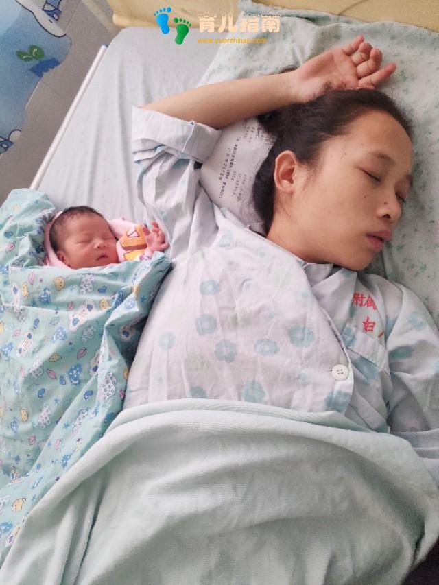 二胎 二胎