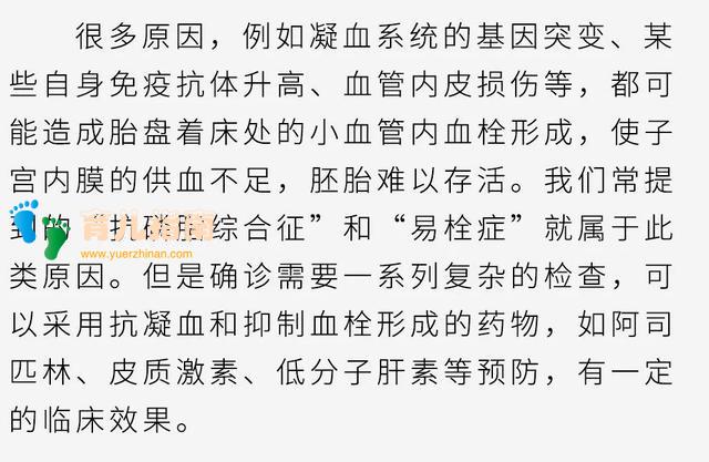 子宫内膜 子宫内膜