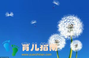 爸爸妈妈，我何时能等到你们这句话？”