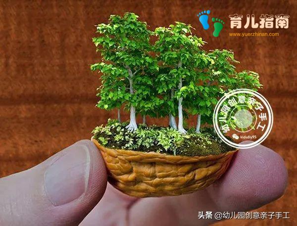 核桃 核桃