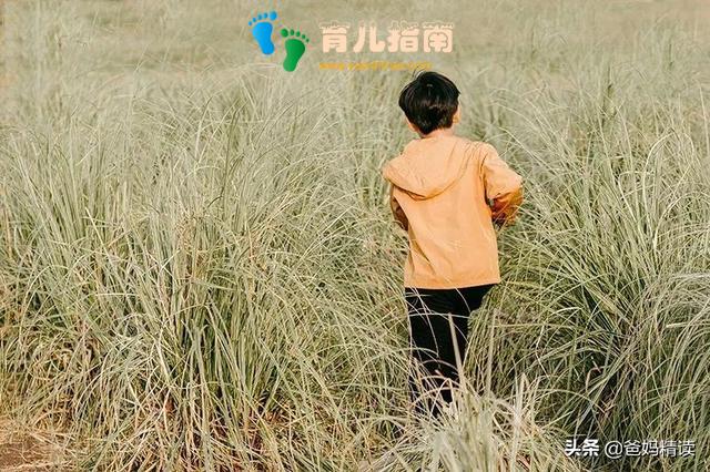 专制教育 专制教育