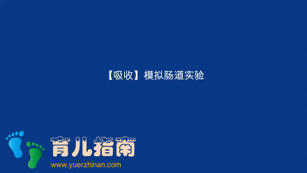 美素佳儿 美素佳儿