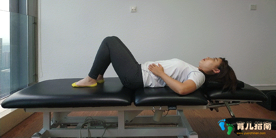 结缔组织 结缔组织