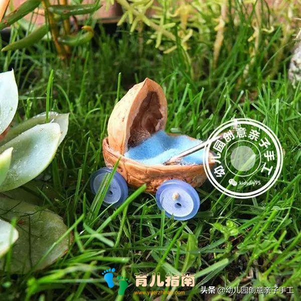 核桃 核桃