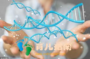 孩子智商和父母智商有关系吗？