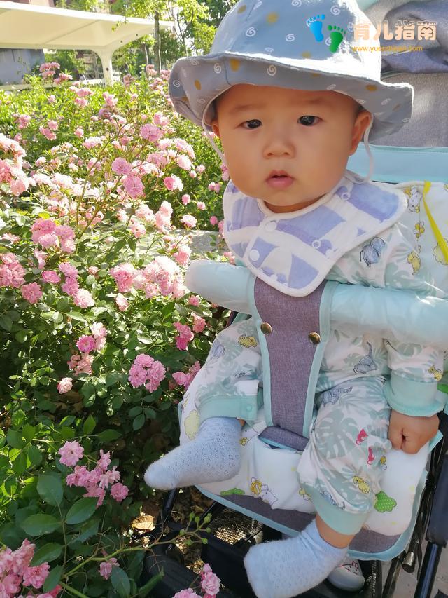 还没断奶？已经没营养了，省那两个奶粉钱能干啥