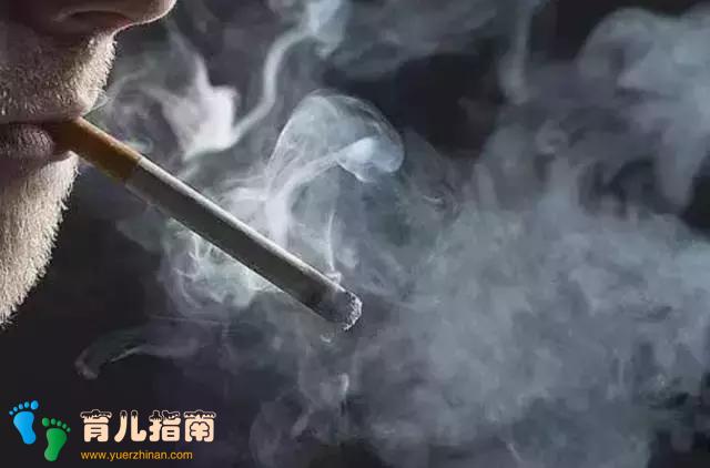 小白鼠 小白鼠