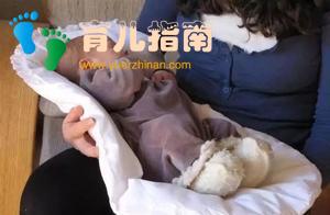 蒙特梭利如何帮助新生儿更好的入睡，父母轻松娃不哭