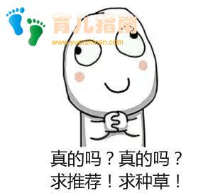 幼儿园 幼儿园