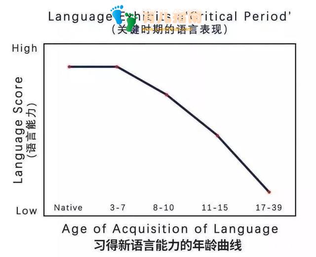 自然拼读 自然拼读