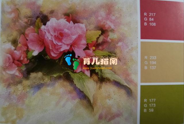 杜鹃花 杜鹃花