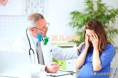 肠道菌群 肠道菌群