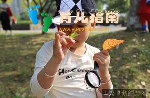 秋高气爽 畅享秋天——记爱弥儿幼儿园春游活动