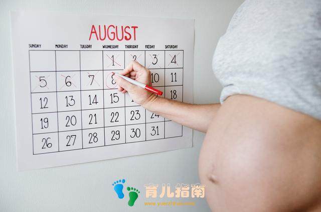 间充质干细胞 间充质干细胞