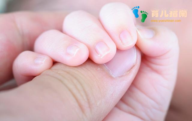 家里请阿姨照顾孩子的家庭注意了,正亲身体验中,问题未解决 家里请阿姨照顾孩子的家庭注意了,正亲身体验中,问题未解决