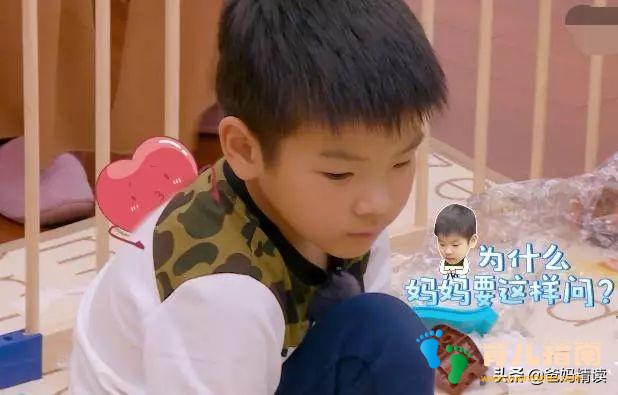 儿子安迪 儿子安迪