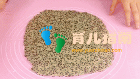 苏打饼干 苏打饼干