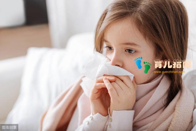 桑菊感冒片 桑菊感冒片