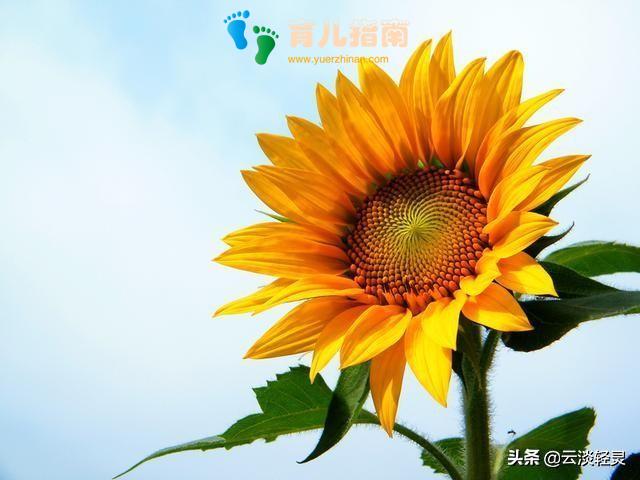 家庭教育 家庭教育