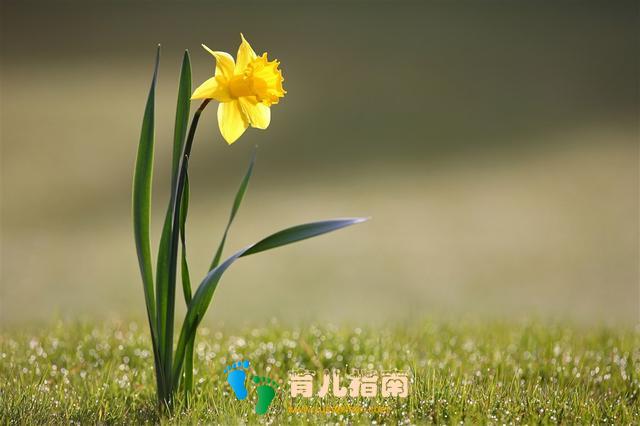 中国戏曲学院 中国戏曲学院