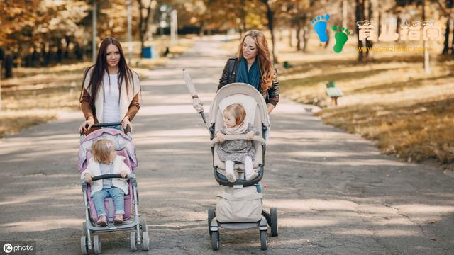 黄金搭档 黄金搭档