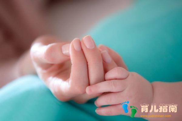 卵子 卵子
