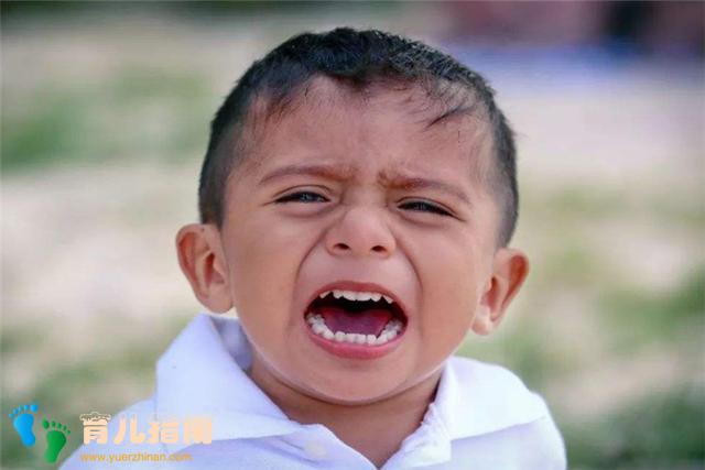 自我调节 自我调节