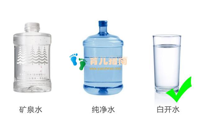 白开水 白开水