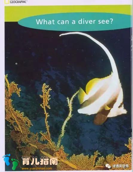 美国国家地理儿童百科