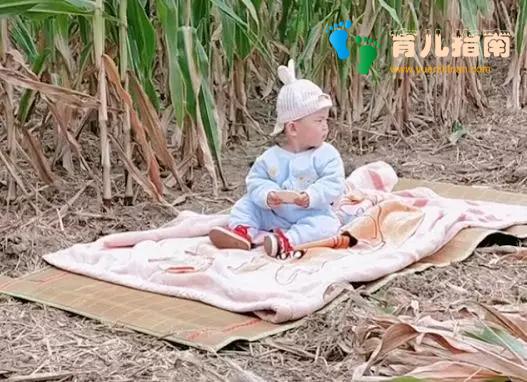 全能宝妈 全能宝妈