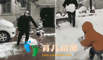 战狼 战狼