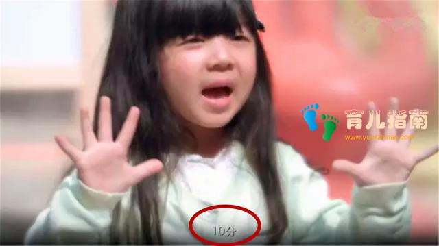 蔡戈尼效应 蔡戈尼效应