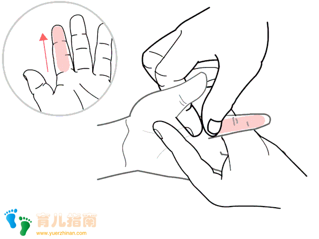 「小儿推拿·穴位教学」肝经—宝宝情志的总开关